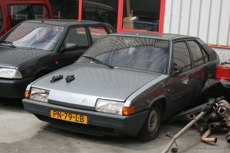 PN-79-LB, kleur Gris Renard